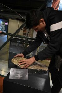 Ξενάγηση στο Μουσείο Φυσικής Ιστορίας Κρήτης 