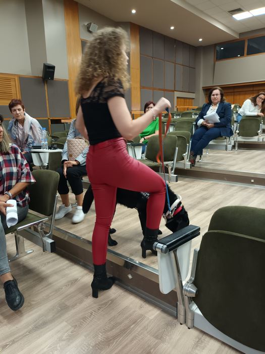 Διημερίδα του ΚΕΑΤ στις 17 και 18 11 2023 στο Ηράκλειο (4)