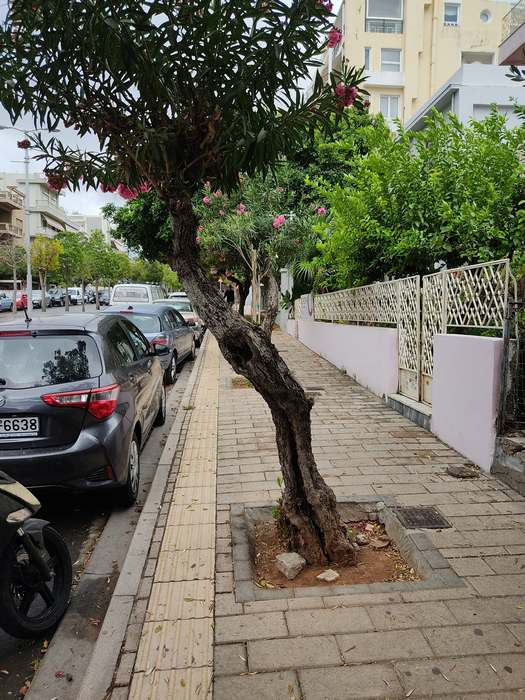 Δημοκρατίας 23 9 2021 (10)