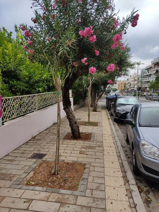 Δημοκρατίας 23 9 2021 (9)