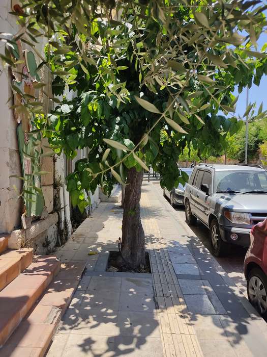 Οδός Πλαστήρα 25 6 2022 (2)