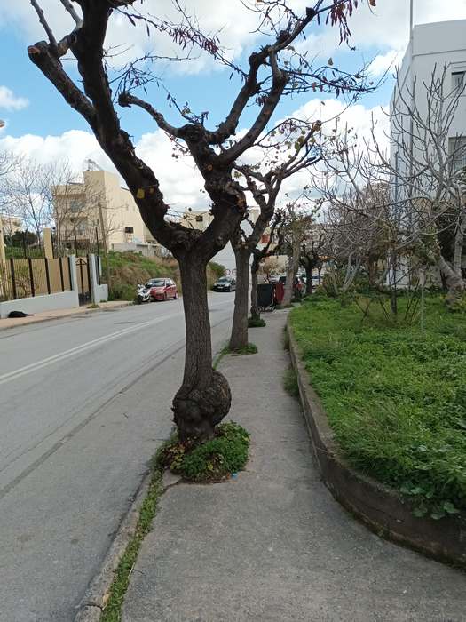 Πεζοδρόμιο Ηρακλείου