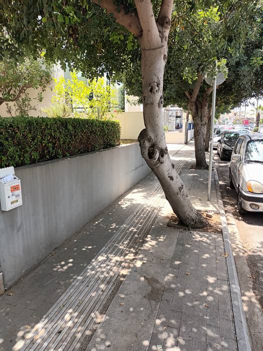 Κνωσού 5 6 2024 (1)